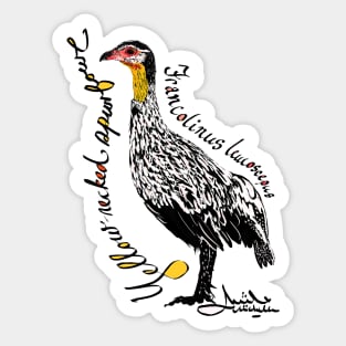 Yellow-necked Spurfowl Sticker